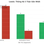 Thống kê Tài Xỉu Leeds 2025