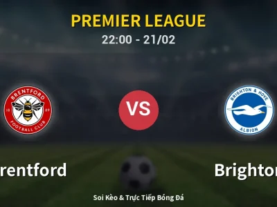 🔴 Trực Tiếp: Brentford 0-0 Brighton – Link Xem Premier League (Full HD)