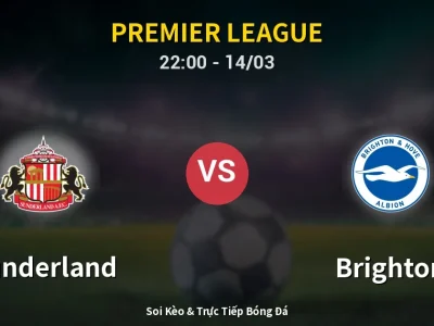 Soi Kèo Sunderland vs Brighton – 22:00 14/03 | Nhận Định, Dự Đoán Tỷ Số