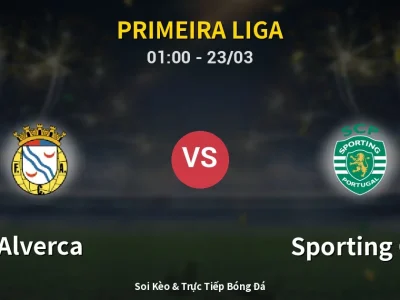 Kết Quả: Alverca 1-4 Sporting CP – Highlight & Bàn Thắng | Primeira Liga