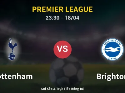 Soi Kèo Tottenham vs Brighton – 23:30 18/04 | Nhận Định, Dự Đoán Tỷ Số