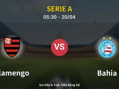 Kết Quả: Flamengo 2-0 Bahia – Highlight & Bàn Thắng | Serie A